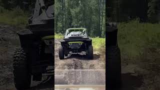 Гусеницы и Крабы. 🐛🦂🚜🧌. #liohastyle #перекурнаприроде #юмор #алтай2025.