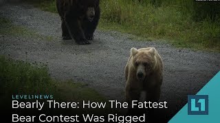 Level1 News October 25 2019: Bearly There: How The Fattest Bear Contest Was Rigged