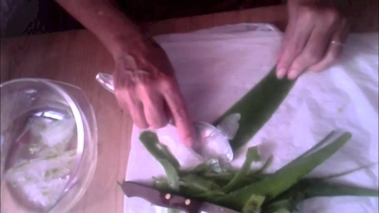 DIY ALOE VERA SOAP YouTube