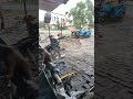 pulsar 200 rs starting problem solb monsoon