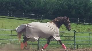 Kismet Quotes Xenophon Thoughtful Ep. 1