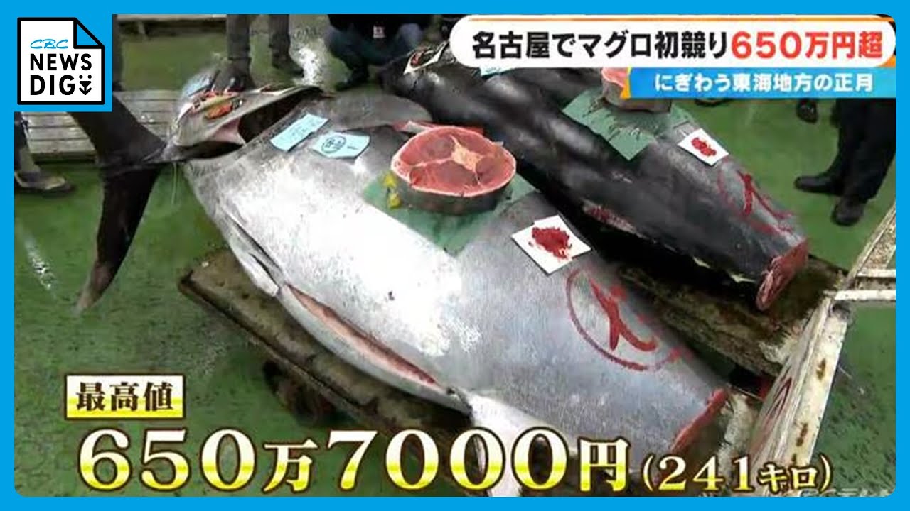 241キロ 青森県大間産のクロマグロが650万7000円で“最高値”に 中央卸売市場で初競り 最高値のマグロはバローで販売
