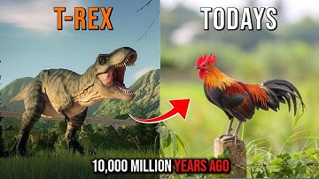 Modern Animals that are Basically Dinosaurs