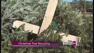 Studio 10: Christmas Tree Recycling