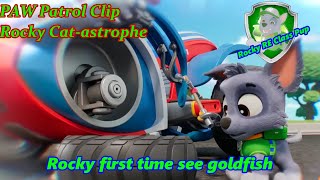 PAW Patrol Clip |  Rocky Cat-astrophe (TV MOVIE)