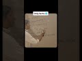 Funny shorts reel comedy video