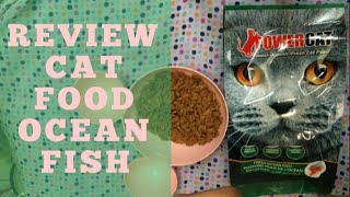 Review Power Cat Ocean Fish - #14