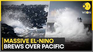 Super El Niño Alert: World Braces For Major Climate Shift  | WION World News