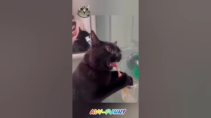 Watch the video about Funny cat brushing teeth #funnycats #2024