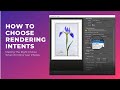 How To Choose The Best Rendering Intent When Printing Your Photographs Or Artwork