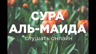 Сура, в которой всем верующим был обещан РАЙ /Сура Аль-Маида/ Слушать Коран ОНЛАЙН