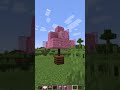Minecraft Blossom Tree!