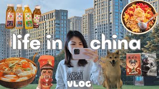 living in china | my daily life in wuxi, chinese hotpot restaurant, livehouse, street food, shopping