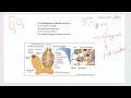 Porifera PYQ Marathon 🔥 | Daily PYQ Session for UP TGT / PGT /  Zoology | Most Expected Questions