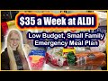 Feeding My Household For $35 a Week | Aldi Budget Meal Plan | Emergency Grocery Haul
