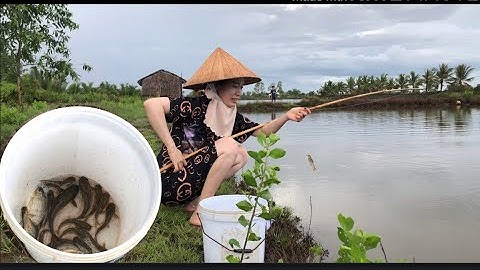 ra vuông câu cá chốt, Minh Truyền vlog #5