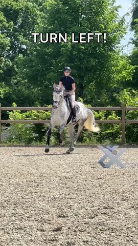 LEFT OR RIGHT ?! 🥴 #equestrian #pferd #horse