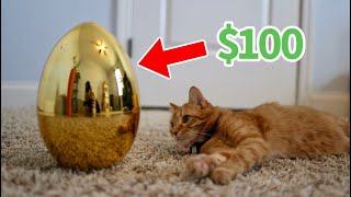 I Made My Cat a $100 Egg Hunt by Abram Engle 26,216 views 1 month ago 4 minutes, 30 seconds