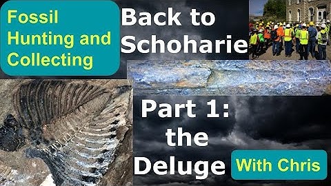 Fossils Back to Schoharie Part 1:  The Deluge  Fossil Hunting and Collecting with Chris