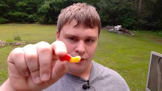 Trolli Sour Brite Crawlers Minis Review