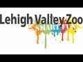 Lehigh Valley Zoo Full Tour - Schnecksville, Pennsylvania