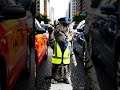 Traffic Police Cat 😂🚦 | Challan कटेगा! 😼 #shorts #aishorts #animals