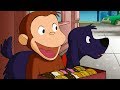 Jorge el Curioso en Español | Ceros para las Rosquillas | Dibujos animados para niños
