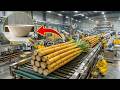 Production Process: The Incredible Journey Of Sugarcane Bagasse