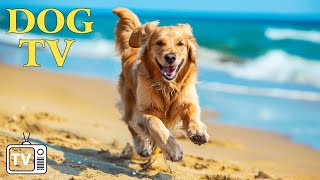 DOG TV: Anti Anxiety & Boredom Busting Video with Music for Dog🐕All-New Adventure Experience for Dog