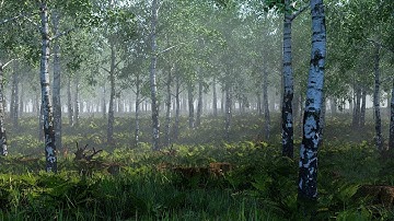 Realistic Forest Environment - VRay for Rhino 7
