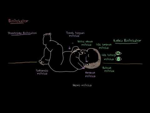 Yenidoğan Bebeklerin Refleksleri (Sağlık ve Tıp) (Sinir Sistemi Fizyolojisi) (Psikoloji / Davranış)