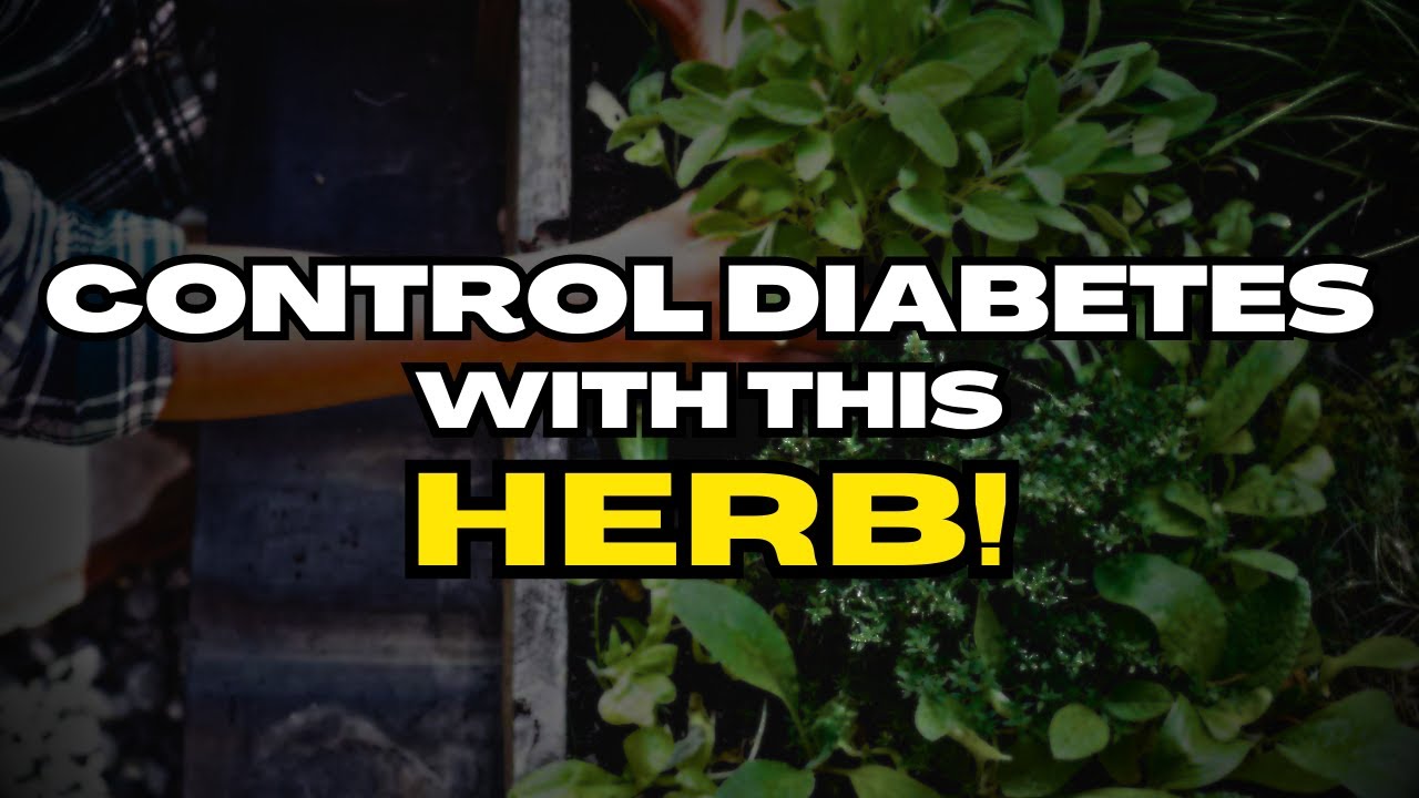 The #1 Best Herb For Diabetes And Here’s How To Use IT