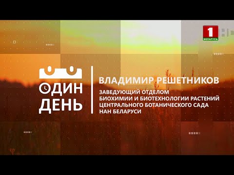 Один день в