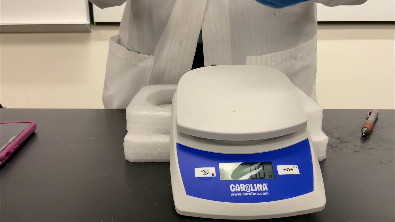 Steel wool and Oxygen Reaction YouTube