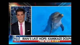 Fox News: Kamikaze Dolphins... Yes this is real