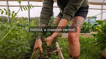 Behold! A Massive CARROT! | VLOG