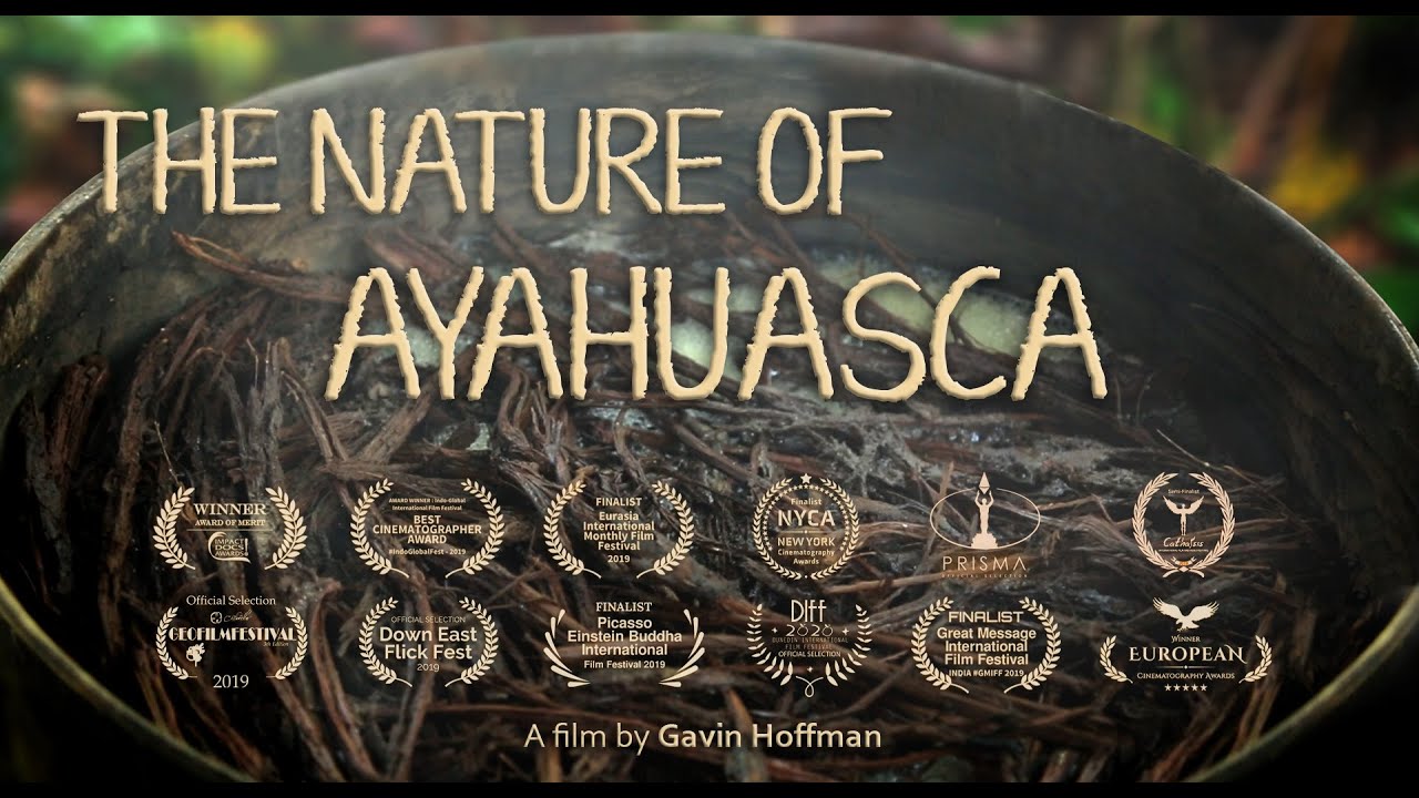 La nature de lAyahuasca 2019 Documentaire