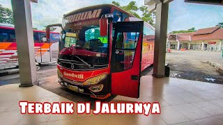 Trip Bis GOODWILL PRIBUMI || Di Jalur Ngapak