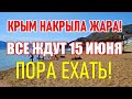 КУРОРТНОЕ / ФЕОДОСИЯ. ЖАРА! ПОРА ЕХАТЬ! ПЛЯЖ БИОСТАНЦИЯ. КАРАДАГ РЯДОМ. КРЫМ 2020.