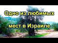 677.Как я не купила оливковое масло и посиделки в винограднике. Израиль