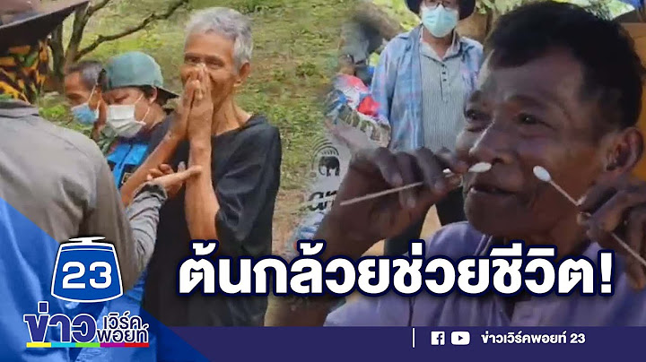 ต้นกล้วยช่วยชีวิต! 2 ตาหลงป่า 8 วัน l ข่าวเวิร์คพอยท์ 23 l 4 /เม.ย./65 l
