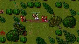 tibia-shivera pk