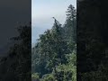 Beautiful Hidden Place at Uttrakhand | Unexplored Place at Chakrata Uttrakhand | #rakshittiwari
