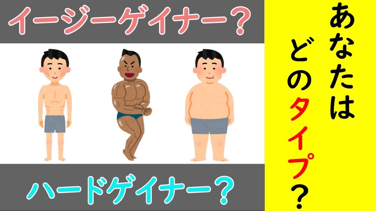 ハード ゲイナー 診断