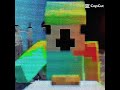 Parrotx2 edit #parrotx2 #minecraft #unstablesmp #wemmbu #flamefrags