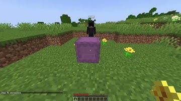 Minecraft Java Shulker Dupe Using Forge!  ANY SERVER  1.21.5