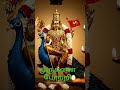 #song #devotional #devotional songs #murugan #love #palani #viral #tranding