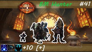 WoW BM Hunter TWW Season 3 M+ #41: Priory of the Sacred Flame / Priorat der Heiligen Flamme [M10+]