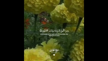 تلاوة هادئة تريح الأعصاب 😴🎧 القارئ: طارق محمد سورة: الطور 💙❤