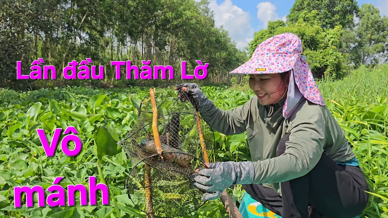 Thăm luồn lờ cá trong NÔNG TRƯỜNG cùng VẠN NGUYỄN và ÔNG NGOẠI, gom lờ về hết luôn